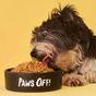 Tuggs Turkey Triumph Complete Frozen Fresh Dog Food 300g