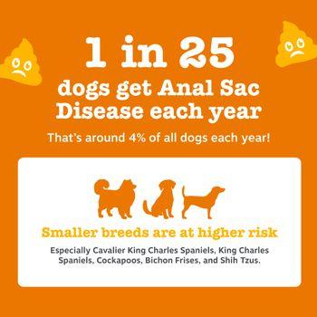 Zesty Paws Scoot Away Chews for Dogs 210g