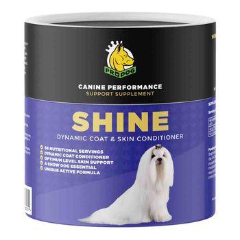 ProDog Raw Shine Dynamic Coat Skin Conditioner 200g Dog Health Supplements