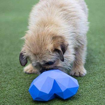 Rosewood Battersea Rubber Heart Treat Dog Toy