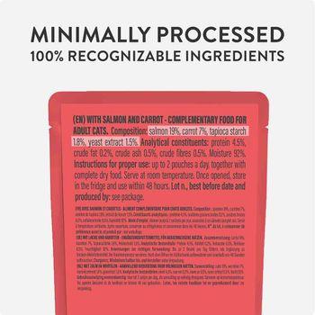 Schesir Soup Cat Food Complement, Salmon with Carrots , 40g 