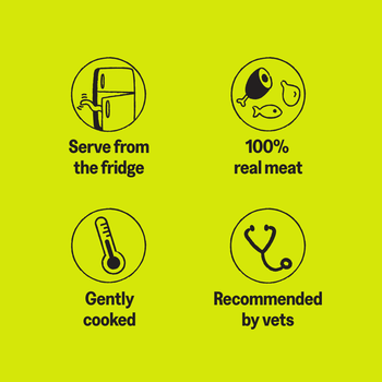 KatKin SURF & TURF Fresh Cat and Kitten Food, Variety Pack (Fish, Beef & Turkey) 6x80g