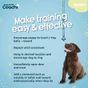 Coachi Puppy & Mini Toilet Training Bells Teal & Mint