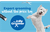 Chesterfield - Groomer