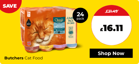 Cat dog store best sale