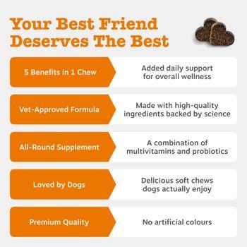 Zesty Paws 5-in-1 Multivitamins for Dogs