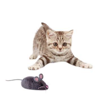 Hexbug Mouse Cat Toy Chase Toys