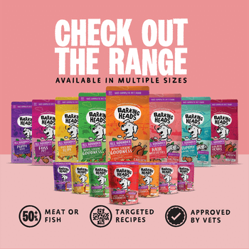 Barking Heads All Hounder Hair Necessities Salmon Dry Dog Food, 2kg