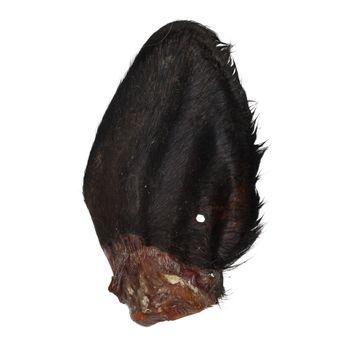 Jollyes Buffalo Ear with Hair Single Natural Dog Treat