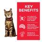 Hill's Science Plan Adult Light Dry Cat Food Chicken Flavour 1.5kg