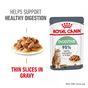 Royal Canin Digestive Care Wet Cat Food in Gravy 48x85g