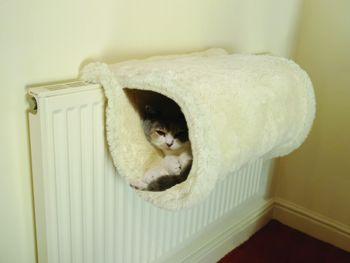 Rosewood Luxury Cat Tunnel White