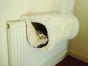 Rosewood Luxury Cat Tunnel White