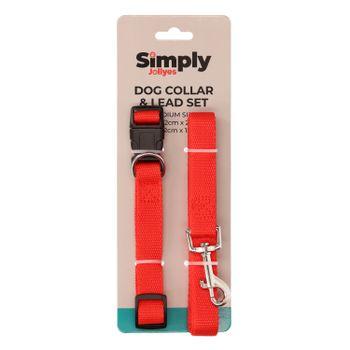 Simply Jollyes Dog Collar & Lead Set - M/L