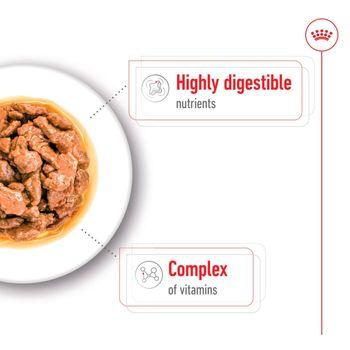 Royal Canin Adult Dog Small Breed in Gravy 48x85g