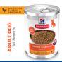 Hill'S Science Plan Perfect Digestion Medium Adult 1+ Wet Dog Food With Chicken & Vegetables 363g