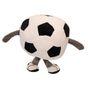 Smart Choice Plush Football Squeaky Dog Toy