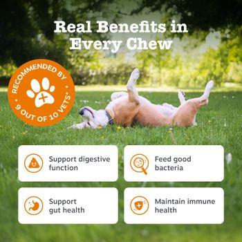 Zesty Paws Probiotic Chews for Dogs 210g