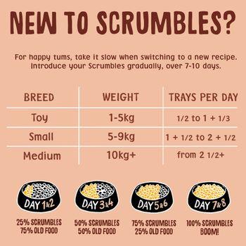 Scrumbles Grain Free Wet Dog Food Meaty Selection 6x150g