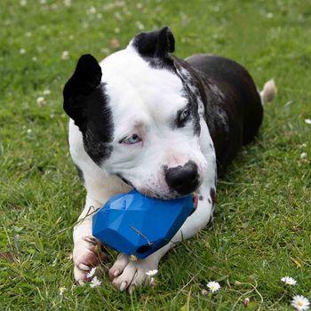 Rosewood Battersea Rubber Heart Treat Dog Toy