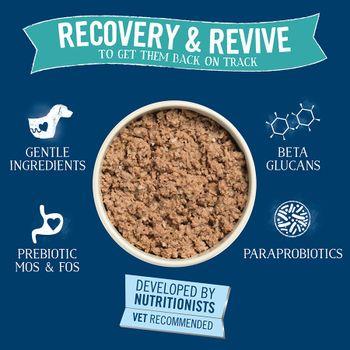 Butchers Recovery & Revive Dog Food Trays 4x150g