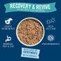 Butchers Recovery & Revive Dog Food Trays 4x150g