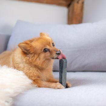 Yakers Blueberry Dog Chew Treat, Extra Large