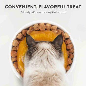 Schesir Functions Digestive Topper Adult Cat Pumpkin & Wheatgrass 40g