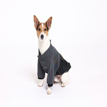 Rufus & Rosie Reflective Windbreaker Dog Coat, M+