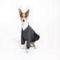 Rufus & Rosie Reflective Windbreaker Dog Coat, M+