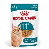 Royal Canin FHN Ageing 11+ Wet Cat Food in Gravy 12x85g