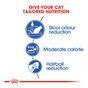 Royal Canin Indoor Cat 27 Dry Cat Food, 400g