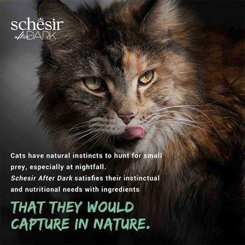 Schesir After Dark Complete Wet Cat Food Chicken in Mousse 80g