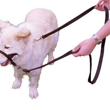 Halti Red Training Lead Large