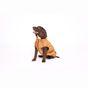 Rufus & Rosie Red Teddy Dog Fleece Jumper, L+