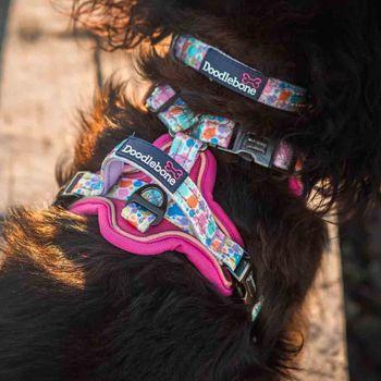 Doodlebone 'With Me' Dog Harness Pink 1-2