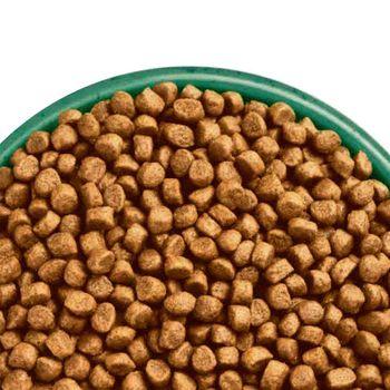 James wellbeloved senior turkey cat food sale