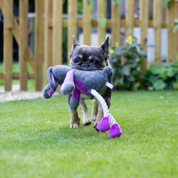 Rosewood Ruby Rabbit Mister Twister Dog Toy