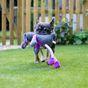 Rosewood Ruby Rabbit Mister Twister Dog Toy