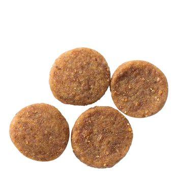 Hill's Science Plan Adult Medium Dry Dog Food Chicken Flavour 14kg