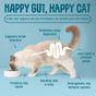 Scrumbles Krunchies Cat Dental Pillow Treats 60g