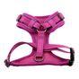 Doodlebone Trendy Tails Stomp Dog Harness Purple 3-5