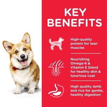 Hill's Science Plan Adult Small & Mini Dry Dog Food Chicken 1.5kg 