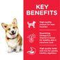 Hill's Science Plan Adult Small & Mini Dry Dog Food Chicken 1.5kg 