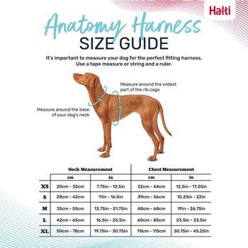 Halti Anatomy Dog Harness Magenta Medium