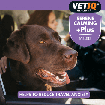 VetIQ Serene-UM Xtra 60 Calming Tablets