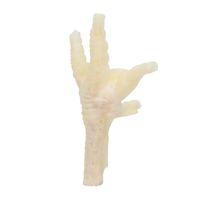 Jollyes Puffed Chicken Feet Individual Dog Treats