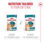 Royal Canin FHN Ageing 11+ Wet Cat Food in Gravy 12x85g