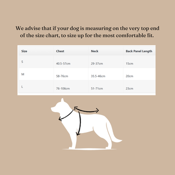 Neerdog Go-B-Bold Airflow Dog Harness-Hollyhock Large