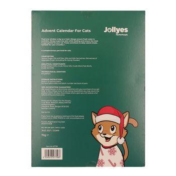 Molly Cat Advent Calendar